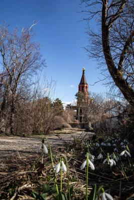 Прикрепленное изображение: QSjwcomVrOw.jpg